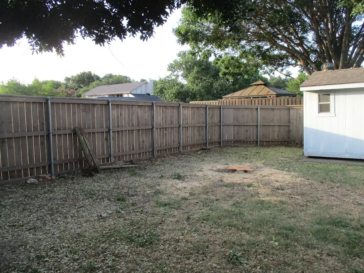Cleared yard after professional tree removal in Glen Cove