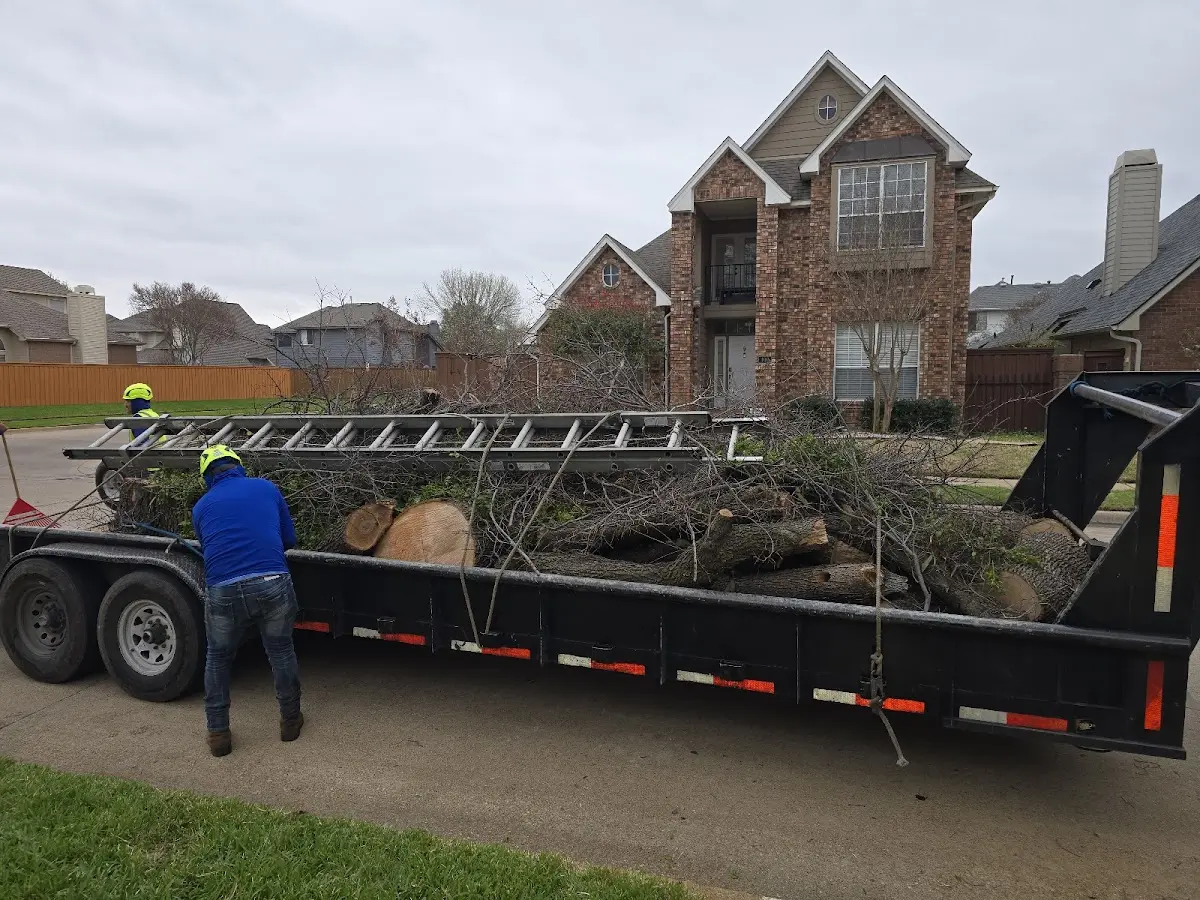 Expert Tree Fertilization with proper safety equipment in Glen Cove